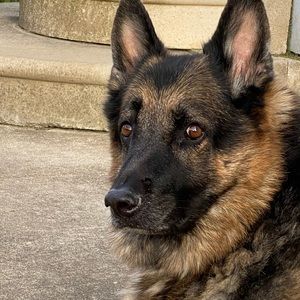 Meet your Posher, Jen